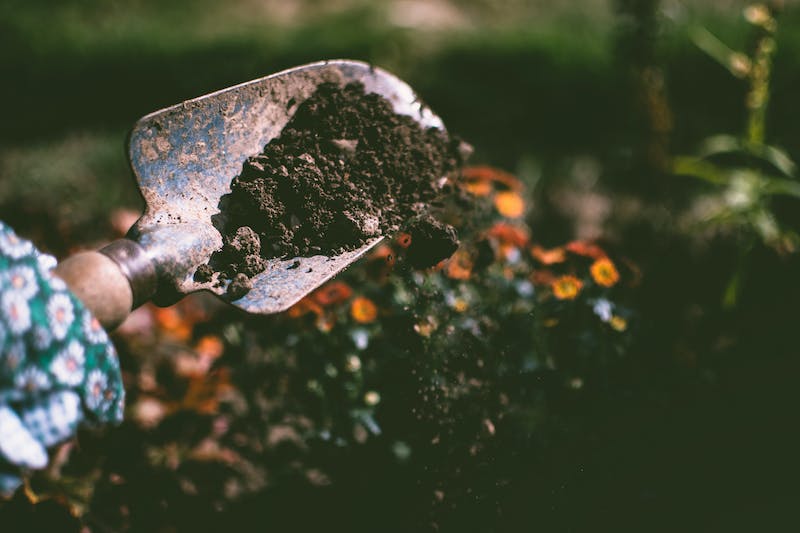 Unlocking the Secrets to Soil Composition: What Your Plants Really Need